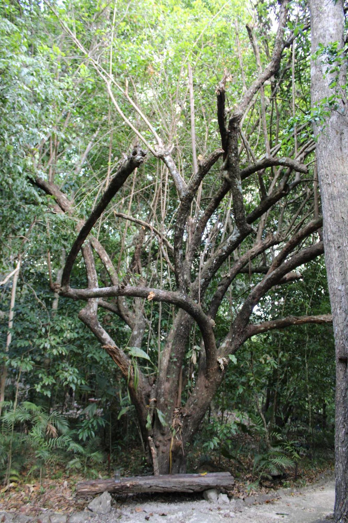 Posada Del Cerro El Remate Εξωτερικό φωτογραφία